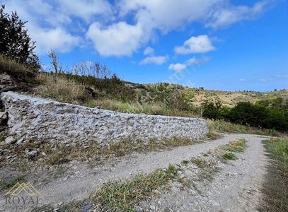 Arsa-Tarla