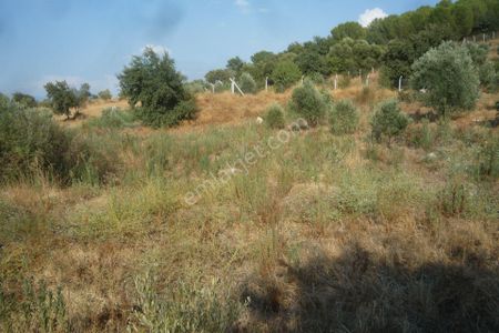 Arsa-Tarla