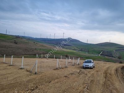 Arsa-Bağ & Bahçe