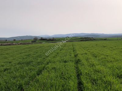 Arsa-Tarla