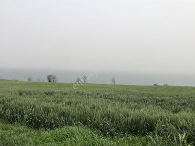 Arsa-Tarla