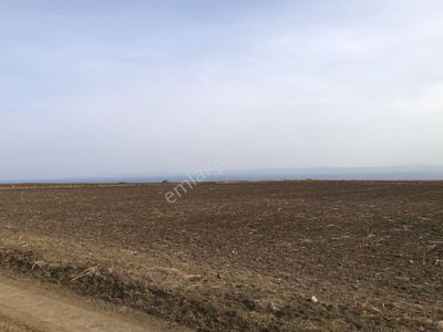 Arsa-Tarla
