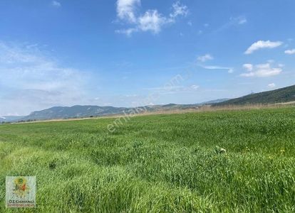 Arsa-Tarla