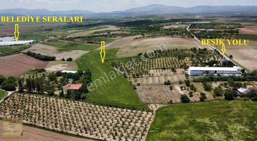Arsa-Tarla