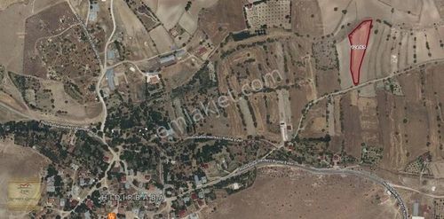 Arsa-Tarla