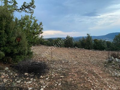 Arsa-Tarla