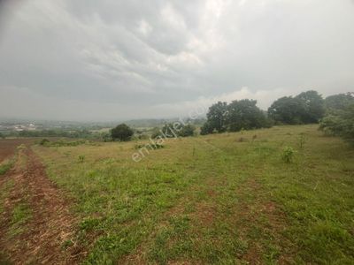 Arsa-Tarla
