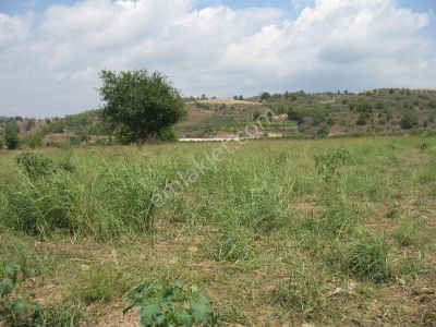Arsa-Tarla