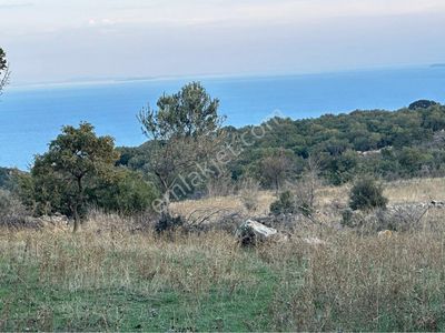 Arsa-Tarla