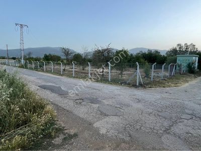 Arsa-Bağ & Bahçe