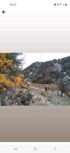 Arsa-Tarla