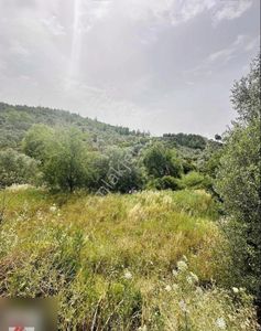 Arsa-Tarla