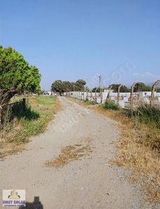 Arsa-Sanayi İmarlı