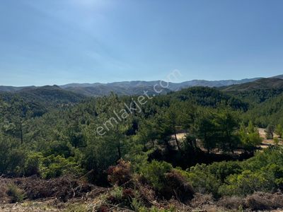 Arsa-Tarla