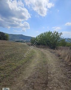 Arsa-Tarla