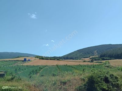 Arsa-Tarla