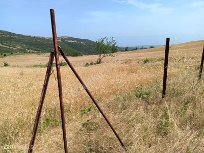 Arsa-Tarla