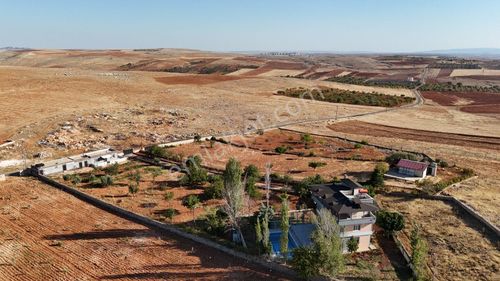 Arsa-Arazi