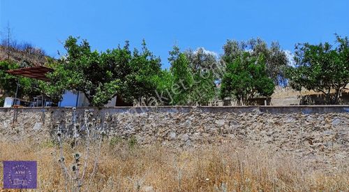 Arsa-Tarla