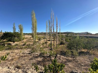 Öz Gaye Emlaktan Develi Feneseyukarı Çağlayan Mevkinde Satılık Bağyeri