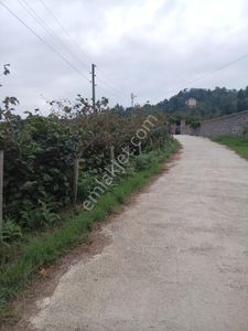 Arsa-Konut İmarlı