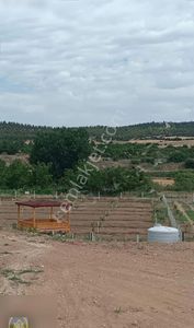Arsa-Tarla