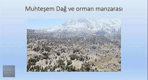 Arsa-Konut İmarlı