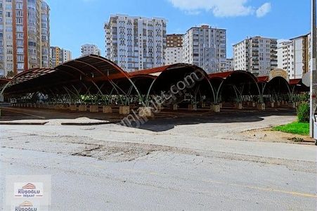İşyeri-Dükkan & Mağaza