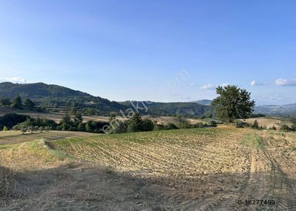 Arsa-Tarla