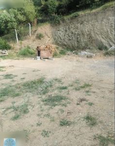 Arsa-Tarla
