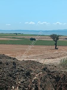 Arsa-Tarla