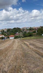 Arsa-Tarla