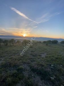 Arsa-Tarla