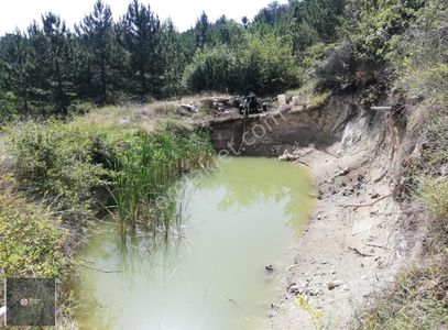 Arsa-Tarla