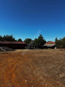 Arsa-Tarla