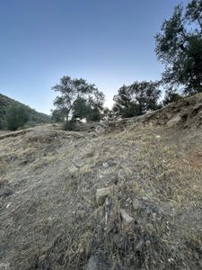 Arsa-Bağ & Bahçe