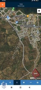 Arsa-Zeytinlik