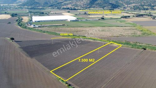 Arsa-Zeytinlik