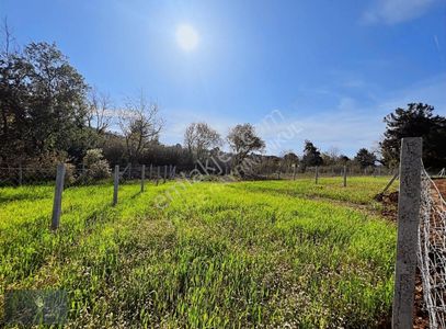 Arsa-Tarla