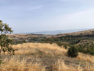 Arsa-Bağ & Bahçe