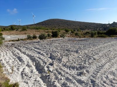 Arsa-Tarla