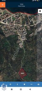 Arsa-Zeytinlik