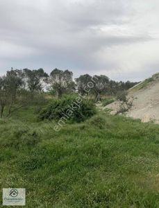 Arsa-Tarla