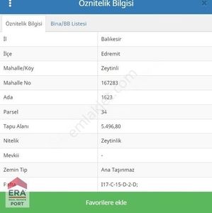 Arsa-Zeytinlik