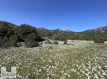 Arsa-Tarla