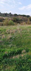 Arsa-Tarla
