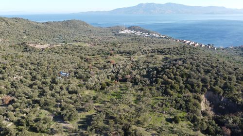 Arsa-Tarla