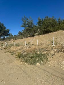 Arsa-Tarla