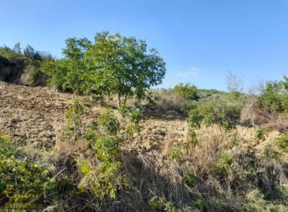 Arsa-Tarla
