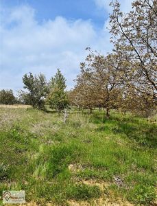 Arsa-Tarla
